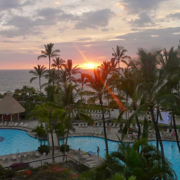 Meet your Posher, Sandy - Picture 1 of 1